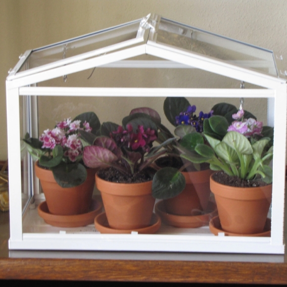 IKEA Other - Ikea Socker Glass Greenhouse